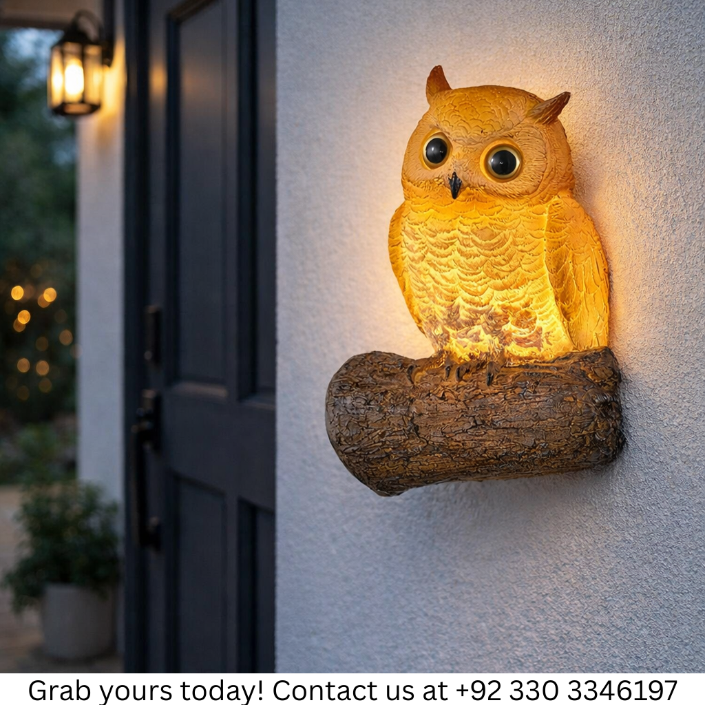 OWL WALL LIGHT  – Indoor & Outdoor Sconce