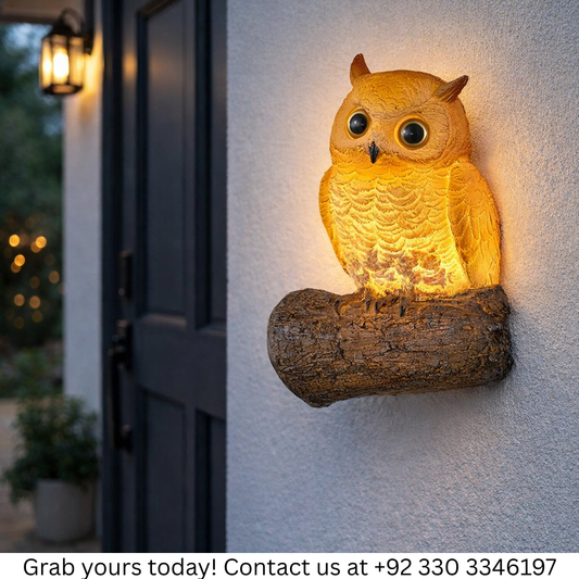 OWL WALL LIGHT  – Indoor & Outdoor Sconce