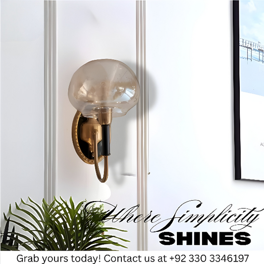 SINGLE GLASS SHADE WALL LAMP